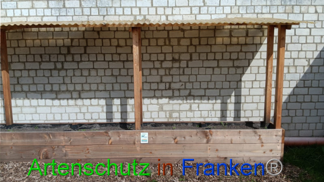 © Artenschutz in Franken® Bild zum Eintrag (1102189-160)