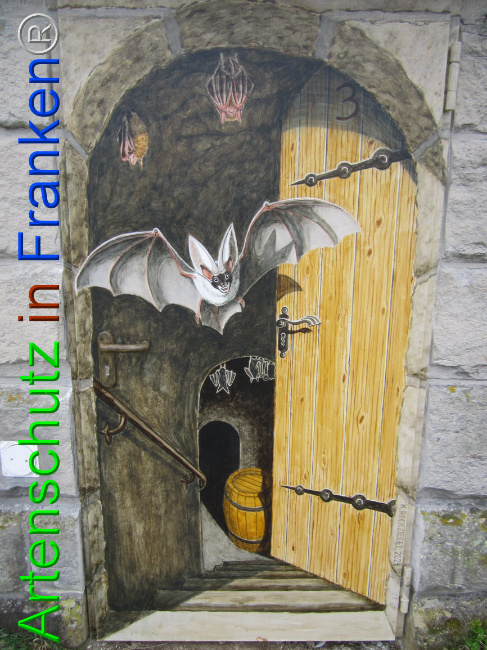 © Artenschutz in Franken® Bild zum Eintrag (1102252-160)