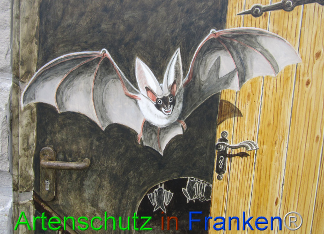 © Artenschutz in Franken® Bild zum Eintrag (1102253-160)