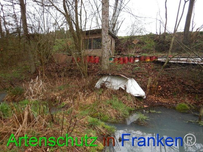 © Artenschutz in Franken® Bild zum Eintrag (1102266-160)
