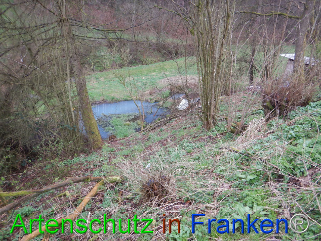 © Artenschutz in Franken® Bild zum Eintrag (1102270-160)