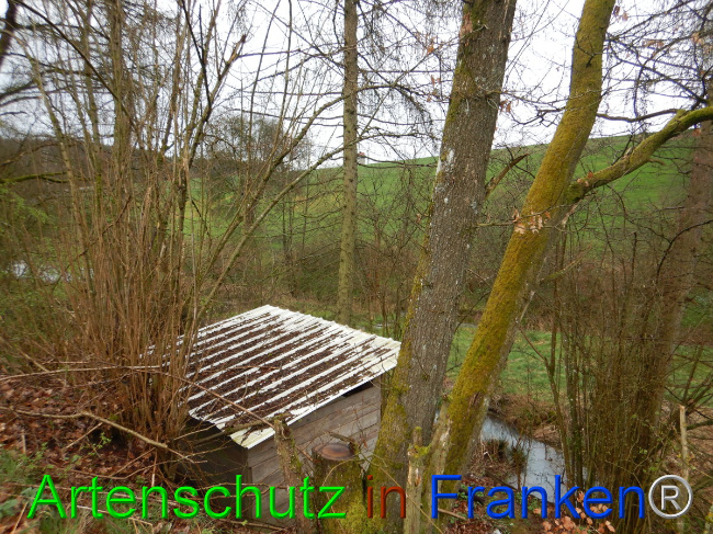 Bild zum Eintrag (1102273-160)