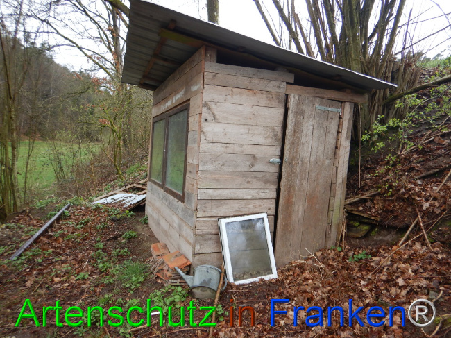 © Artenschutz in Franken® Bild zum Eintrag (1102276-160)