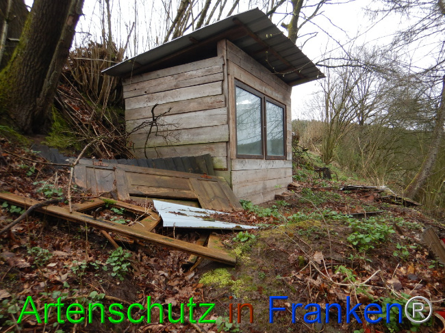 © Artenschutz in Franken® Bild zum Eintrag (1102278-160)