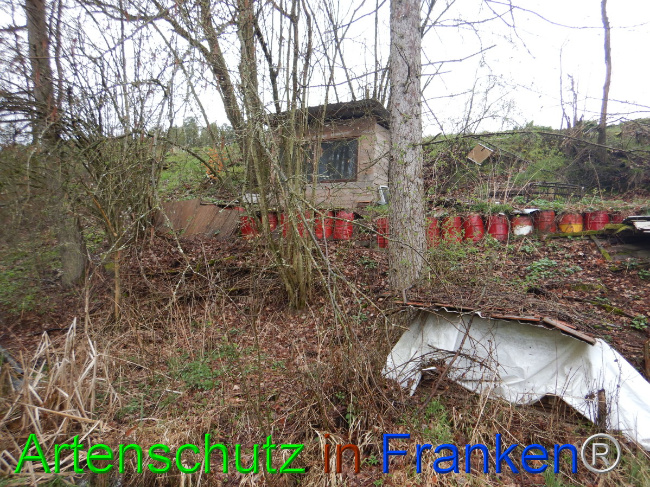 © Artenschutz in Franken® Bild zum Eintrag (1102282-160)