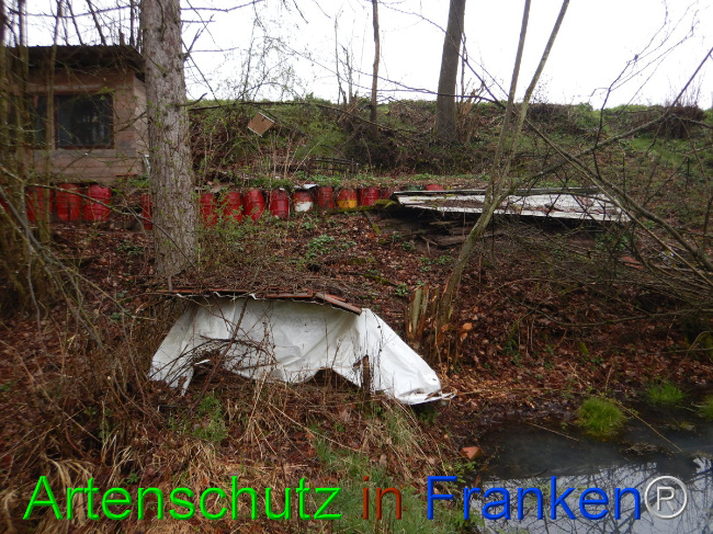 © Artenschutz in Franken® Bild zum Eintrag (1102283-160)