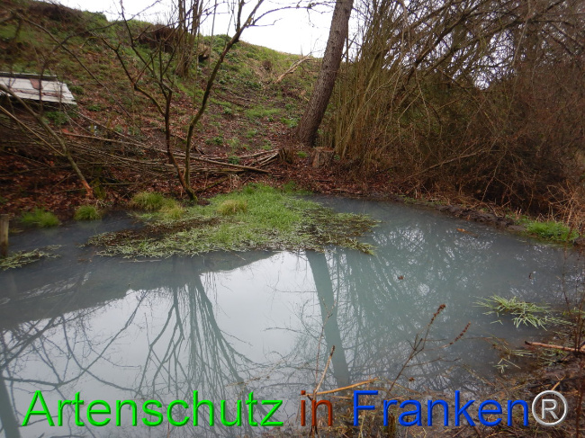 © Artenschutz in Franken® Bild zum Eintrag (1102288-160)