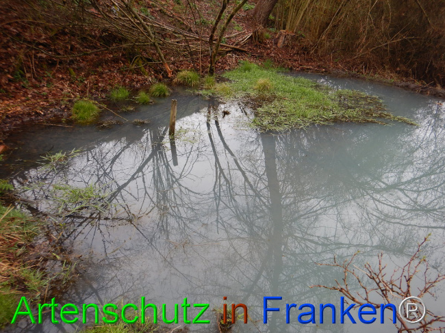 © Artenschutz in Franken® Bild zum Eintrag (1102289-160)