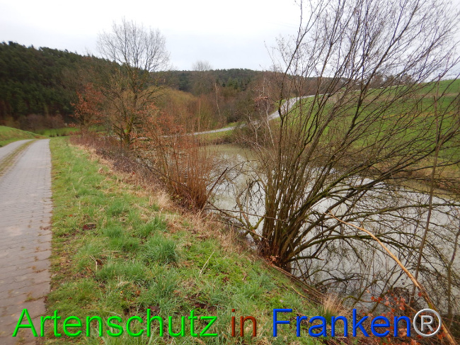 © Artenschutz in Franken® Bild zum Eintrag (1102303-160)
