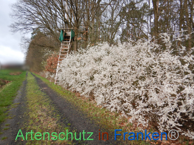 Bild zum Eintrag (1102577-160)