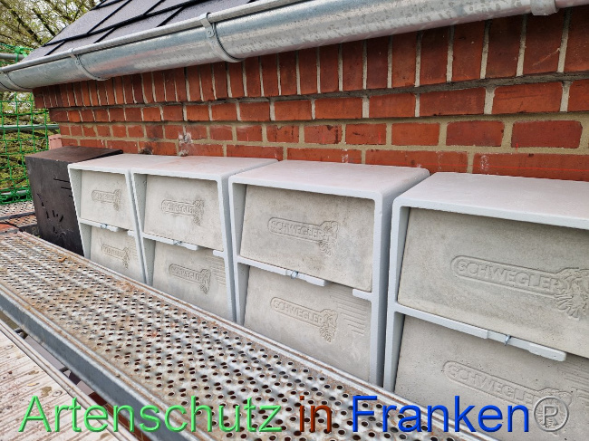 © Artenschutz in Franken® Bild zum Eintrag (1102859-160)