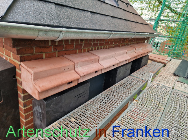 © Artenschutz in Franken® Bild zum Eintrag (1102862-160)