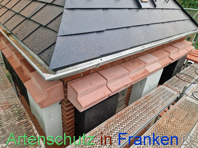 © Artenschutz in Franken® Bild zum Eintrag (1102869-160)