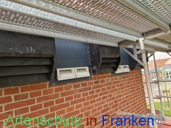 © Artenschutz in Franken® Bild zum Eintrag (1102870-160)