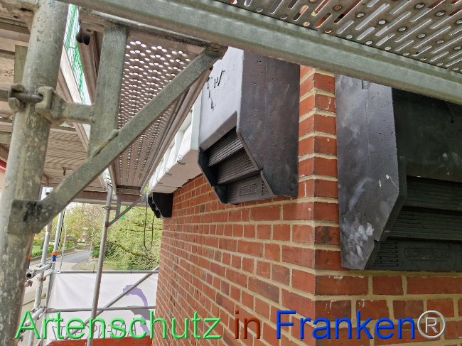 © Artenschutz in Franken® Bild zum Eintrag (1102871-160)