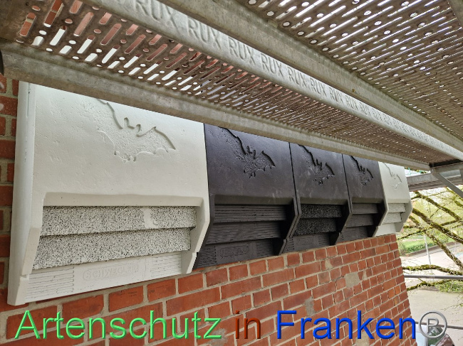 © Artenschutz in Franken® Bild zum Eintrag (1102875-160)