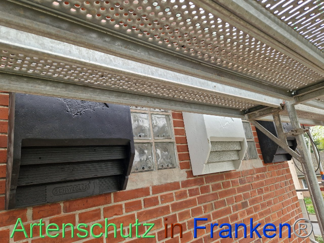 © Artenschutz in Franken® Bild zum Eintrag (1102877-160)