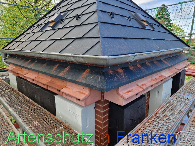 © Artenschutz in Franken® Bild zum Eintrag (1102881-160)