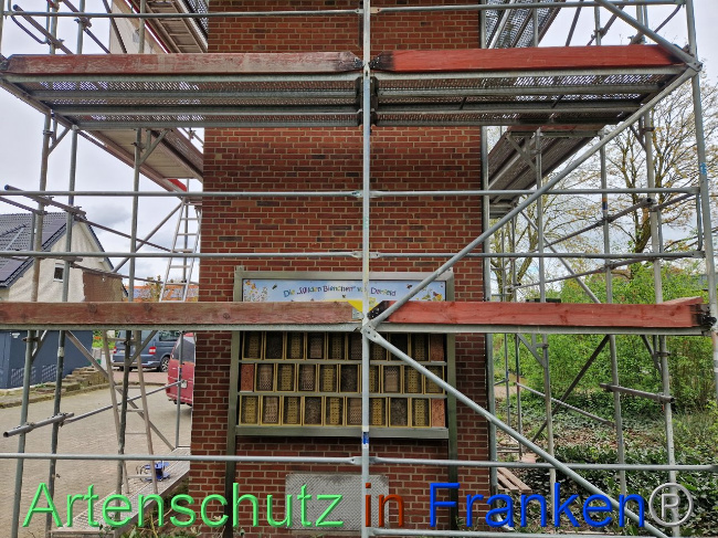 © Artenschutz in Franken® Bild zum Eintrag (1102887-160)