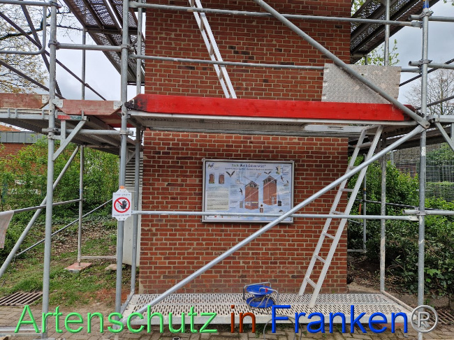© Artenschutz in Franken® Bild zum Eintrag (1102888-160)