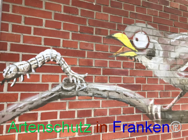 © Artenschutz in Franken® Bild zum Eintrag (1102899-160)