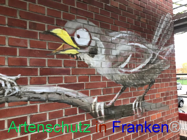 © Artenschutz in Franken® Bild zum Eintrag (1102900-160)