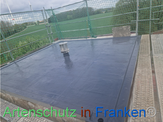 © Artenschutz in Franken® Bild zum Eintrag (1102957-160)