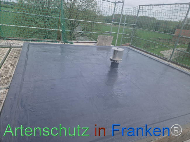 © Artenschutz in Franken® Bild zum Eintrag (1102958-160)