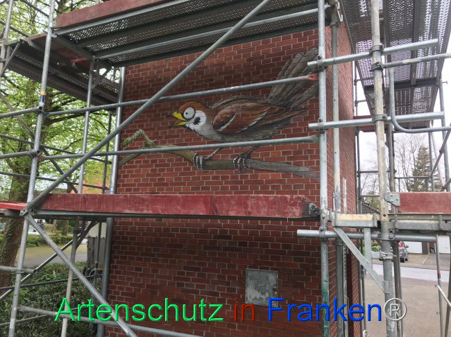 © Artenschutz in Franken® Bild zum Eintrag (1102999-160)