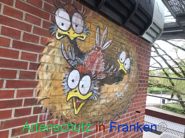 © Artenschutz in Franken® Bild zum Eintrag (1103000-160)