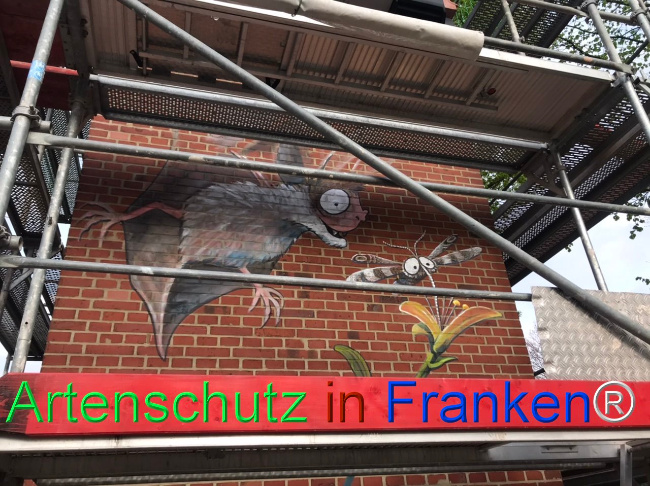 © Artenschutz in Franken® Bild zum Eintrag (1103043-160)