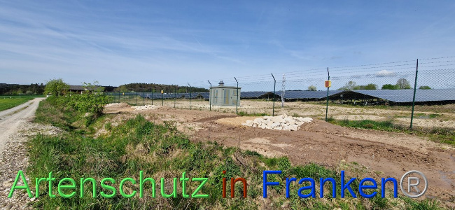 © Artenschutz in Franken® Bild zum Eintrag (1103072-160)