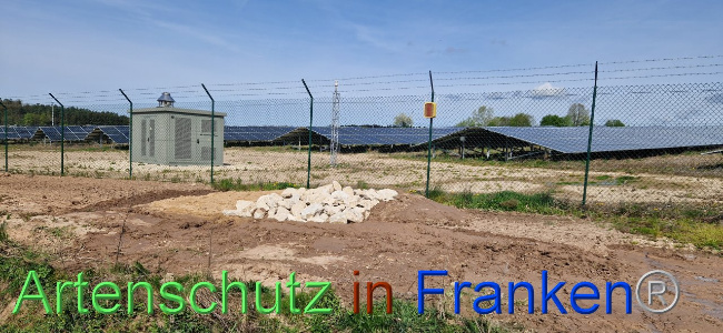 © Artenschutz in Franken® Bild zum Eintrag (1103073-160)