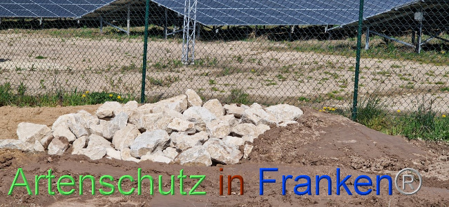 © Artenschutz in Franken® Bild zum Eintrag (1103074-160)