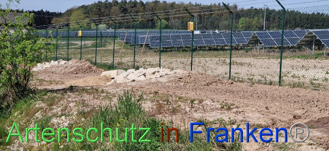 © Artenschutz in Franken® Bild zum Eintrag (1103075-160)