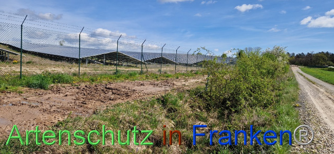 © Artenschutz in Franken® Bild zum Eintrag (1103083-160)