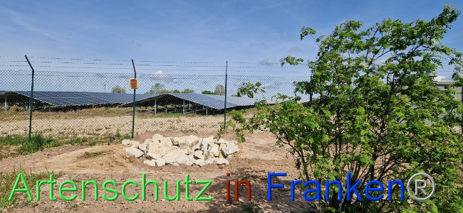 © Artenschutz in Franken® Bild zum Eintrag (1103084-160)