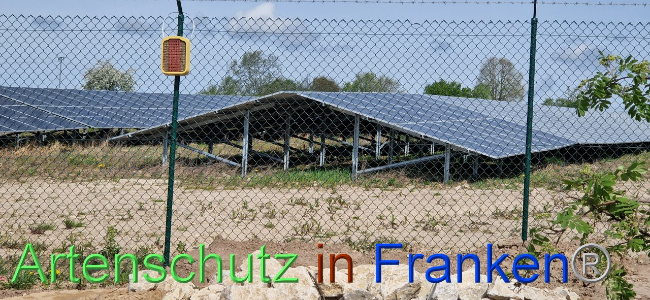 © Artenschutz in Franken® Bild zum Eintrag (1103085-160)