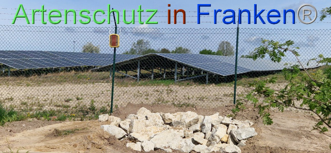 © Artenschutz in Franken® Bild zum Eintrag (1103086-160)