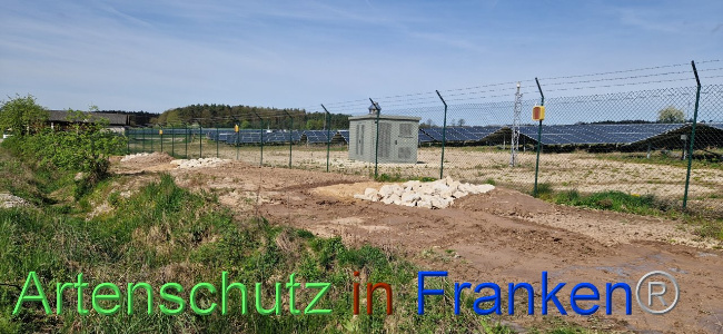© Artenschutz in Franken® Bild zum Eintrag (1103099-160)