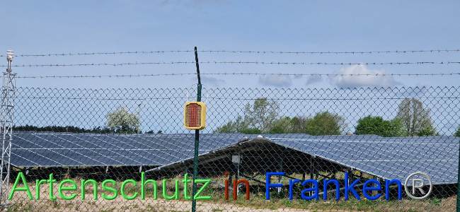 © Artenschutz in Franken® Bild zum Eintrag (1103101-160)