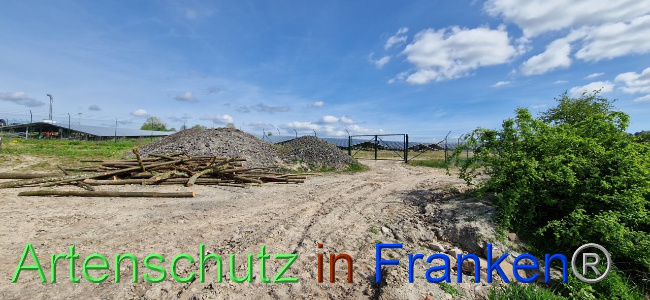 © Artenschutz in Franken® Bild zum Eintrag (1103102-160)