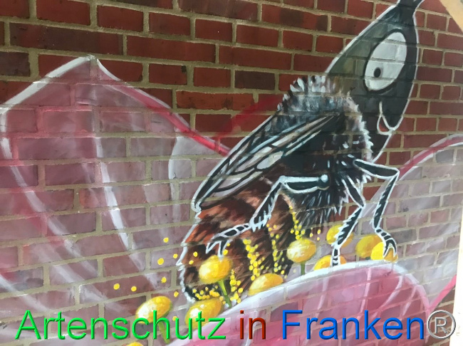 © Artenschutz in Franken® Bild zum Eintrag (1103148-160)