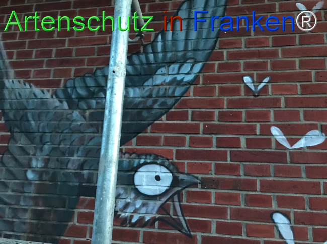 © Artenschutz in Franken® Bild zum Eintrag (1103212-160)