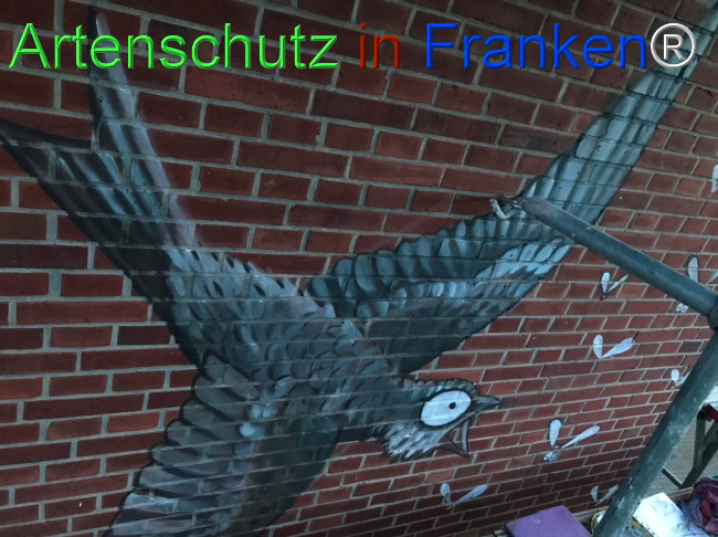 © Artenschutz in Franken® Bild zum Eintrag (1103213-160)