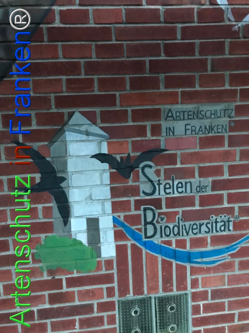 © Artenschutz in Franken® Bild zum Eintrag (1103214-160)