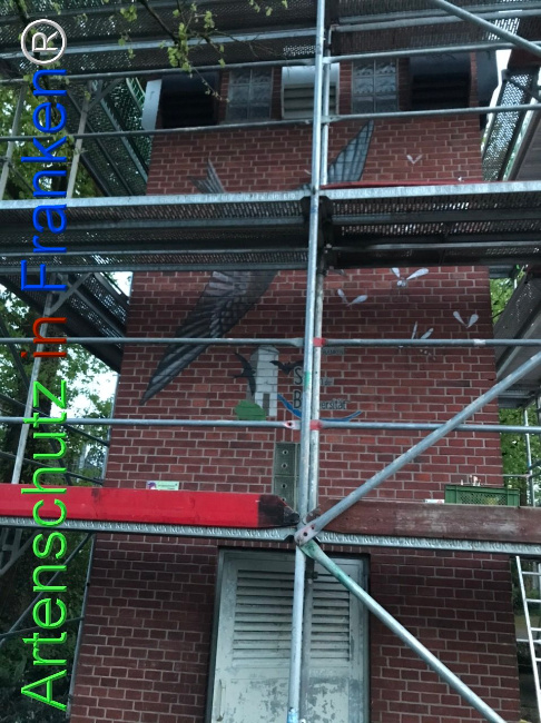© Artenschutz in Franken® Bild zum Eintrag (1103215-160)