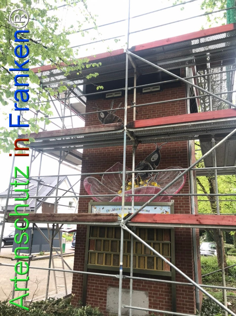 © Artenschutz in Franken® Bild zum Eintrag (1103240-160)