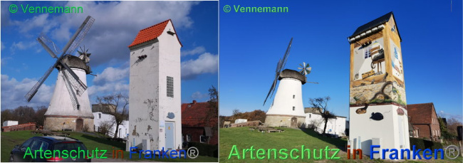 © Artenschutz in Franken® Bild zum Eintrag (1103320-160)