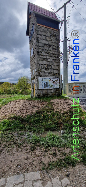 © Artenschutz in Franken® Bild zum Eintrag (1103351-160)